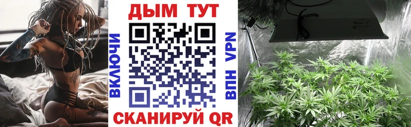 Каннабис ГИДРОПОН  hydra ТОР  Сатка 
